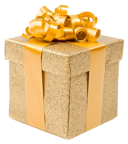 Бонус: Вбий або будь убитим Том 4